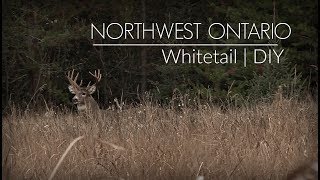 Ontario Whitetail Hunt  DIY  Public Land Deer Hunting [upl. by Leahsim12]