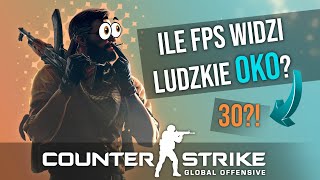 Ile fps widzi ludzkie oko Hz vs FPS [upl. by Charron]