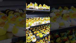 Cute Rubber Duck Store in Amsterdam – Fun CharacterThemed Ducks [upl. by Baler]