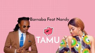 Barnaba Feat Nandy  Tamu Cover By IbraaT Video [upl. by Lody]