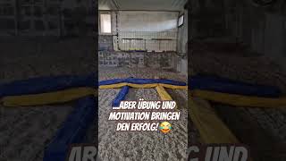 Das erste Spingtraining für Bellamie 🤩 minishetty [upl. by Meil630]