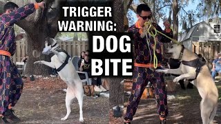 Exposed What Really Happened at “dog daddy”Augusto Deoliveira’s Tampa event TW Dog Bite [upl. by Damahom]