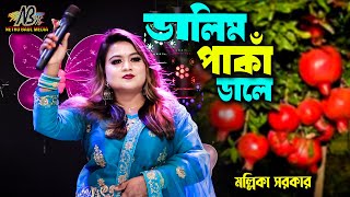 মল্লিকা সরকারের যাদু মাখা কণ্ঠে  থাকো বন্ধু সুখে থাকো সেল দিয়া মোর বুকে Bondhua Bihone  baul gan [upl. by Kreitman]