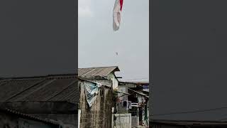 Helikopter Pengibar Bendera Lewat Duwur Gentheng Daerah Cipadu [upl. by Akit]