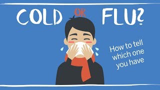 Cold vs flu symptoms How to tell if it’s influenza [upl. by Elli848]