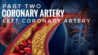 BLOOD SUPPLY OF HEARTPart 2  LEFT CORONARY ARTERY [upl. by Aznola238]