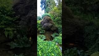 The Butchart Gardens [upl. by Sephira]