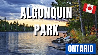 Algonquin Park Ontario  Hiking Canoeing amp Wildlife 🏞️🛶 [upl. by Jecho]