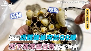 【超巨虎頭蜂巢夾出QQ蛹 咬下滿滿蛋白質配酒94爽！】｜pinger4712 [upl. by Haerb]