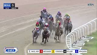 Seoul 20241019 R5 Class 5 1300M Handicap [upl. by Fish828]