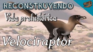 Reconstruyendo vida prehistórica VELOCIRAPTOR  Bonus los carnívoros más GRANDES [upl. by Skyler961]