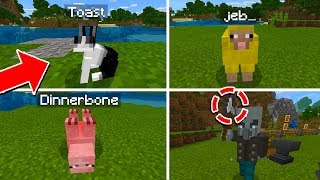 5 NAME TAG EASTER EGGSTRICKS IN MINECRAFT PC PE XBOX [upl. by Kurzawa]