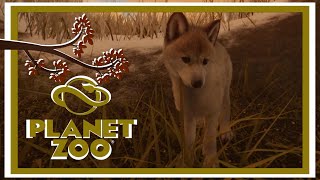 Lets Play Planet Zoo Wolfland  PART 4 🐺 New Wolfy Scents [upl. by Ebneter527]