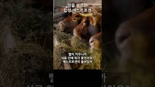 암을 부르는 합성 에스트로겐 shortvideo [upl. by Aldos42]