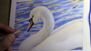 drawing a swan in the evening sun with colored pencils [upl. by Irreg]