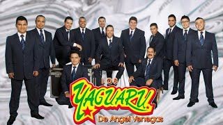 30 Mejores cancines de LOS YAGUARÚ Grandes Cumbias Mix exitos 2024 Album Completo [upl. by Attehcnoc]