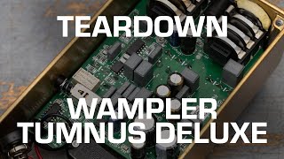 Wampler Tumnus Deluxe Teardown See whats inside [upl. by Marden49]