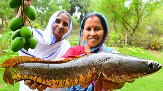 গাছের আম দিয়ে শোল মাছের আমশোল রান্না  Shol fish and raw mango curry in village style  villfood [upl. by Renard245]