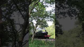 Prairie on the Morning Goods  Dart Valley Steam train railway devon [upl. by Attela]