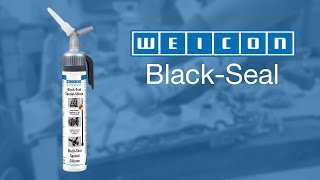 Assembly of a gearbox cover  Adhesives and Sealants  WEICON BlackSeal Special Silicone [upl. by Ahtnicaj]