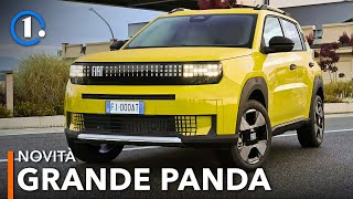 Fiat Grande Panda la PANDA XL 🐼 da 4 metri ibrida o elettrica [upl. by Euqirdor]