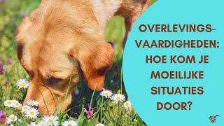 Overlevingsvaardigheden hoe kom je moeilijke situaties door [upl. by Sirap859]