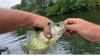 Easy way to find crappie WITHOUT expensive electronics Piscifun Viper X 2000 [upl. by Carole]