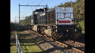 V160 1555 RTB Cargo Diesel Locomotive Train at Blerick the Netherlands 🇳🇱 November 52024 👍👍👍👍👍🚂😎🎥 [upl. by Rehpotisrhc83]