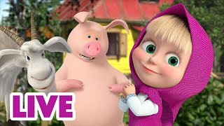 🔴 LIVE Maşa İle Koca Ayı 🙌 Hayırlı İşler Bürosu 🤗🏢 Masha and the Bear [upl. by Towbin594]