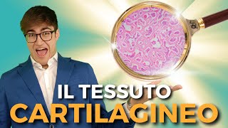 Il TESSUTO CARTILAGINEO in 7 minuti esatti  BIOLOGIA FACILE [upl. by Ninon]