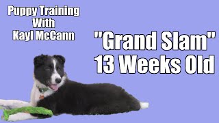 Puppy Training quotGrand Slamquot 13 Weeks [upl. by Innaig68]