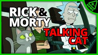 Does the Rick and Morty Talking Cat’s Secret Set Up the Finale Nerdist News w Dan Casey [upl. by Herzberg714]