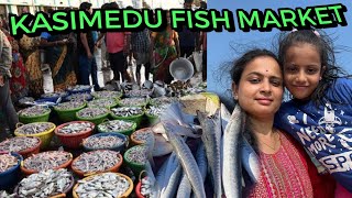 Kasimedu Fish Market  Wholesale amp Retail Market  All types of fresh and dry Fishes available [upl. by Aidnyl]