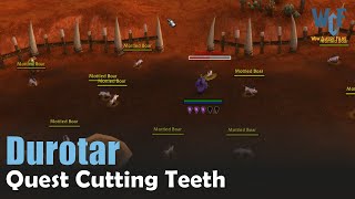 Quest Cutting Teeth WoW  Durotar  World of Warcraft Retail [upl. by Chancelor]