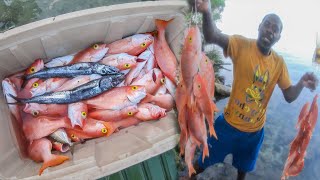 Big Catch On Red Snappers With Hook amp Line In Deep Waters Fishing In The Dark [upl. by Tnafni]