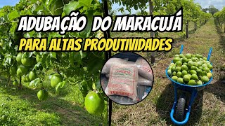 Como adubar o maracujá corretamente para produzir MUITO [upl. by Lleoj]