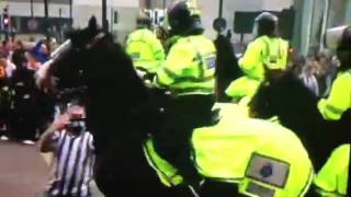 Newcastle fan punches horse [upl. by Vala405]