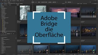 Adobe Bridge 2023 Grundkurs für Einsteiger Das Interface [upl. by Schulein817]