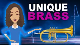 7 Lesserknown Brass and Woodwind Instruments You Didnt Know Existed [upl. by Doownel995]