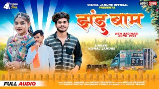 😅झंडु बाम‼️ jhandu bam 🤭New Timli Song Vishal Jamune 2024vishaljamune [upl. by Thetes]