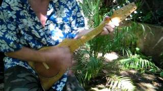 8 STRINGS TAHITIAN UKULELE FROM TAHITIUKULELECOM [upl. by Esoranna]