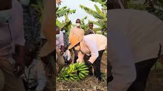 Museveni is promoting agriculture [upl. by Anairb671]