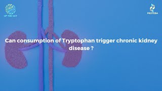 Can Tryptophan an essential amino acid trigger Chronic Kidney Disease [upl. by Ahsat]