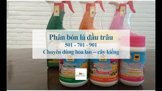 Phân bón lá đầu trâu 501  701  901 chuyên hoa lan cây cảnh [upl. by Abihsot]