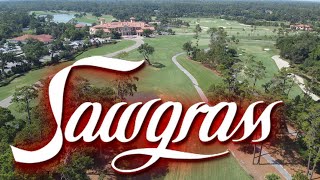 TPC SAWGRASS PETE DYE VALLEY COURSE HIGHLIGHTS [upl. by Nilrak]