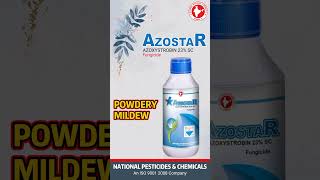 AZOSTAR  Azoxystrobin 23 SC Fungicide [upl. by Gudren357]