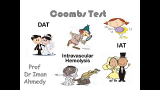 Coombs test [upl. by Hannaoj]