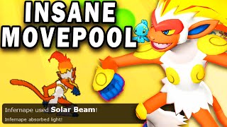 SOLAR BEAM INFERNAPE IS THE NEW META [upl. by Janene188]