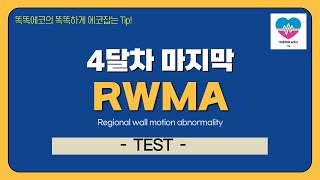 RWMA TEST echocardiography 심장초음파 heart echo view coronaryartery coroanry territory tte [upl. by Toddie606]