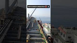 SHIP BUNKERING OPERATION⛽ merchantvessel viralahorts vlog youtubeshorts 🚢⛽ [upl. by Elleirol]